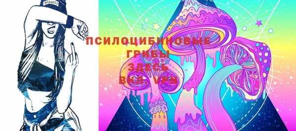 дживик Балахна