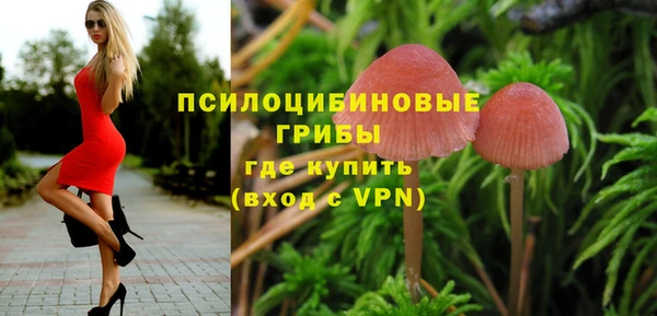 дживик Балахна
